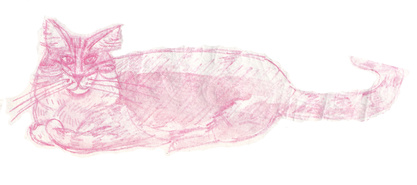 A Sketch of My Cat