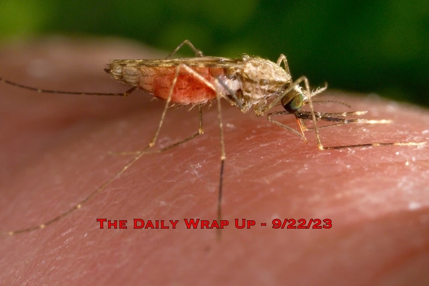 Shared Post Obligatory Pesticide Spraying In NYC GM Mosquitoes   51093 Gytcqfhxx63wki3 Full 