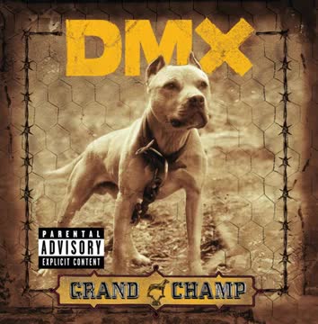 DMX We 'Bout To Blow